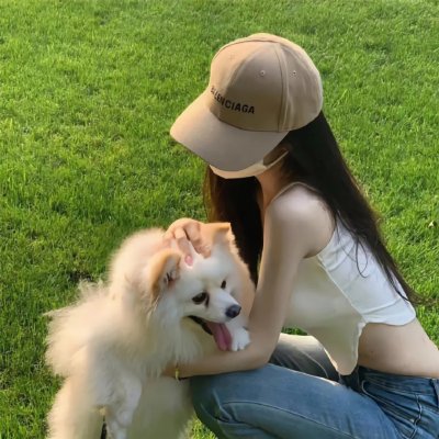 蜘蛛与郁金香